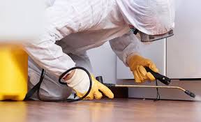 Best Pest Control for Multi-Family Homes  in Flint Hill, MO